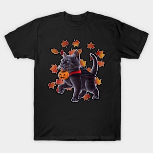 Cat In A Vampire Costume Holding A Pumpkin. Halloween Kitten T-Shirt